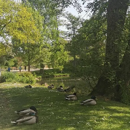 Am Mattheiser Wald * Tréveris