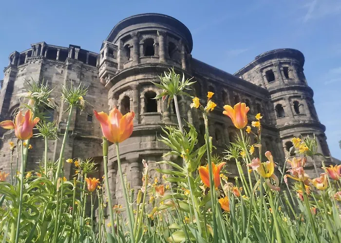 Am Mattheiser Wald Trewir