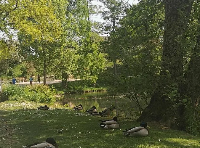 Am Mattheiser Wald * Trewir